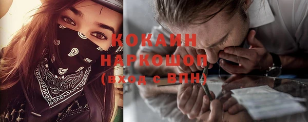 стаф Новозыбков