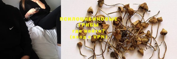 МДПВ Абдулино