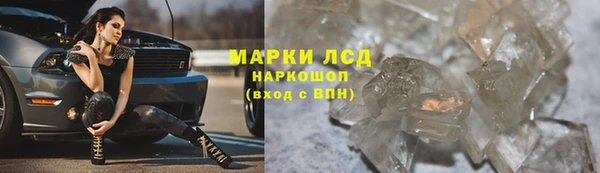 прущие грибы Абинск