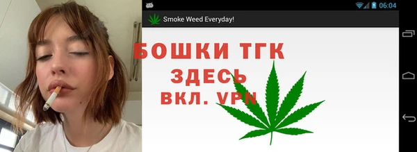 apvp Алексин