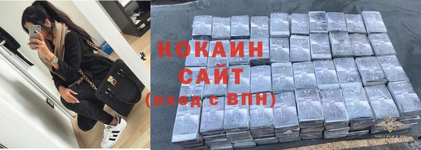 прущие грибы Абинск