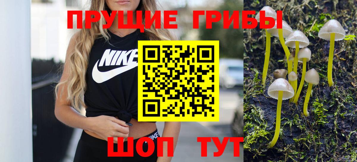Галлюциногенные грибы Psilocybe Троицк